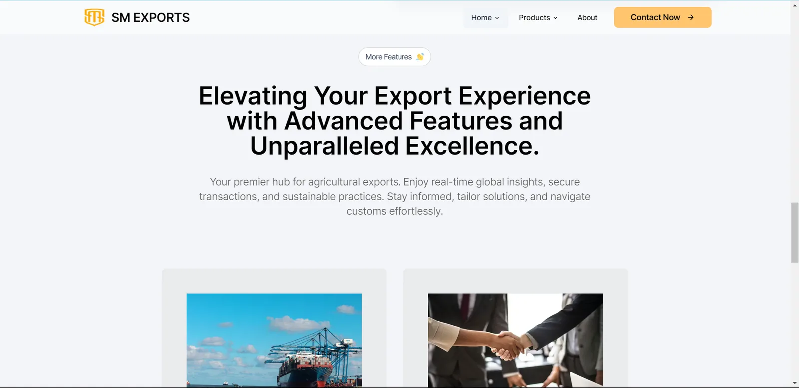 The SM Exports home page, headlined 'Elevating Your Export Experience'